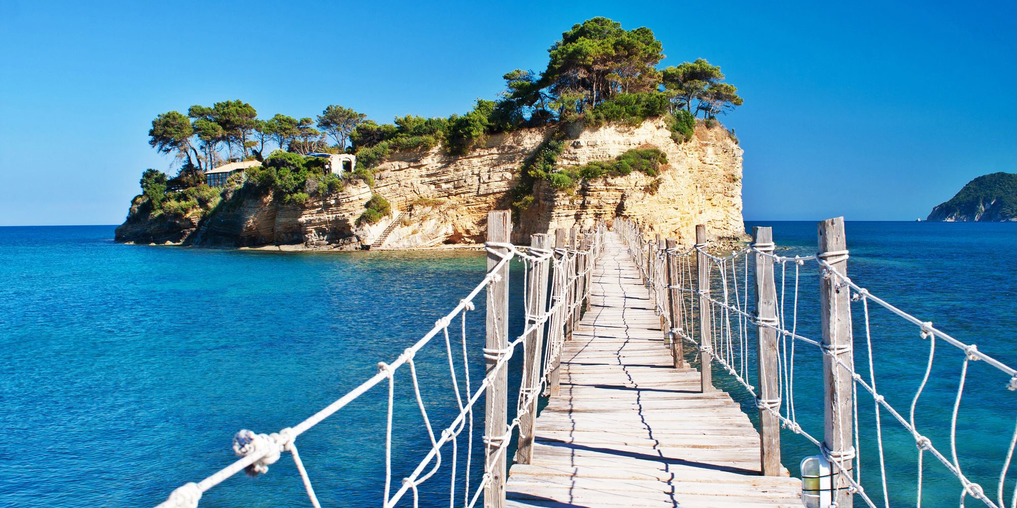 Holiday Hints &amp; Tips