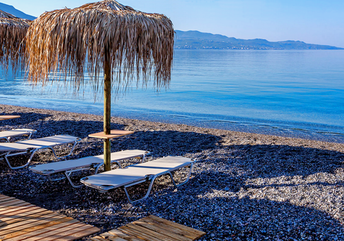 kalamata.png