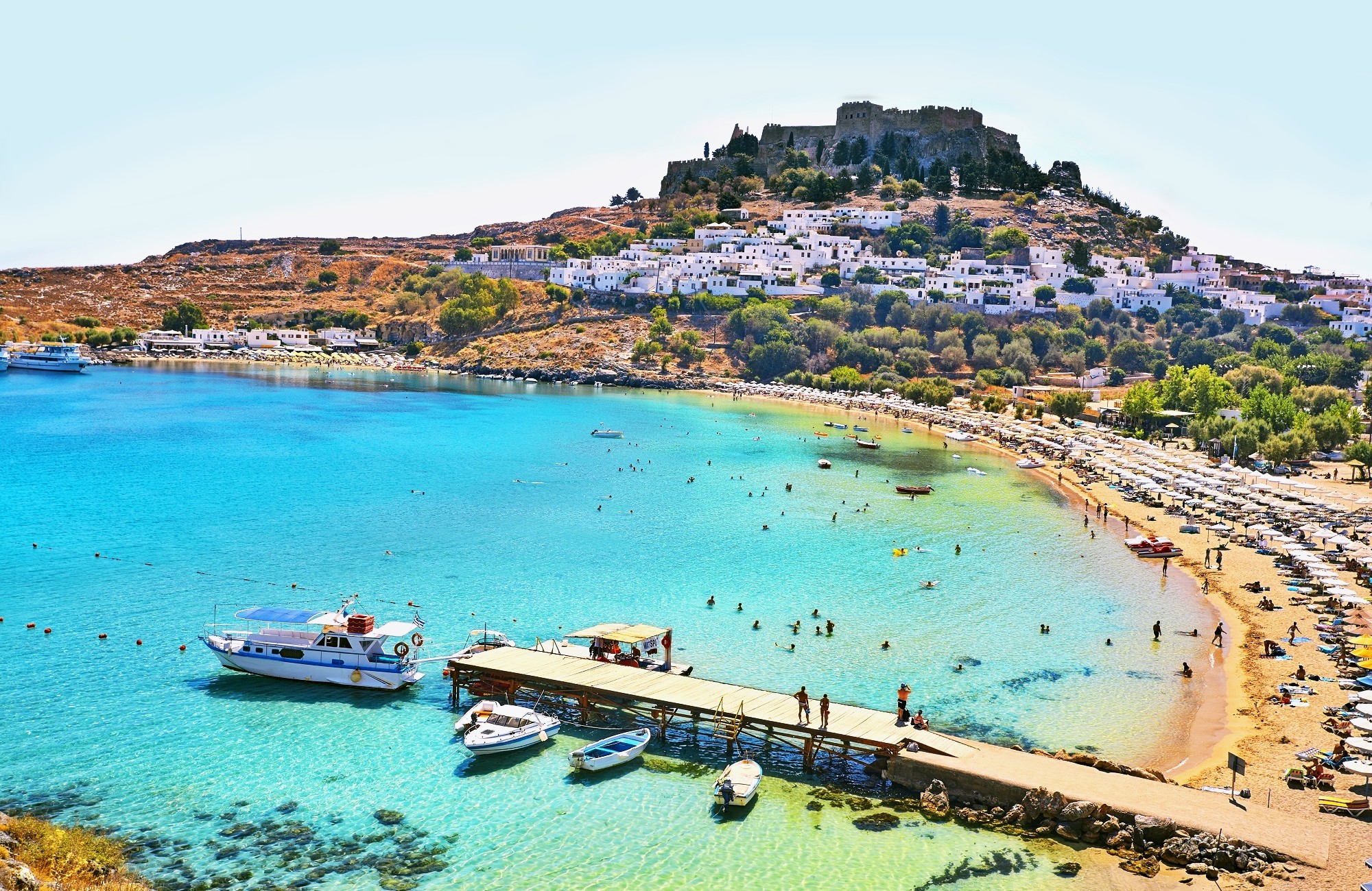 Holiday Hints &amp; Tips