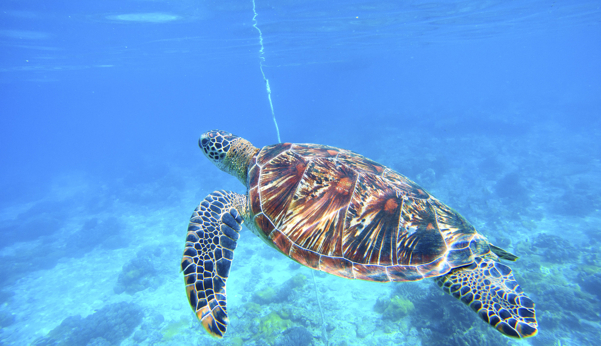 Excursions from Zakynthos