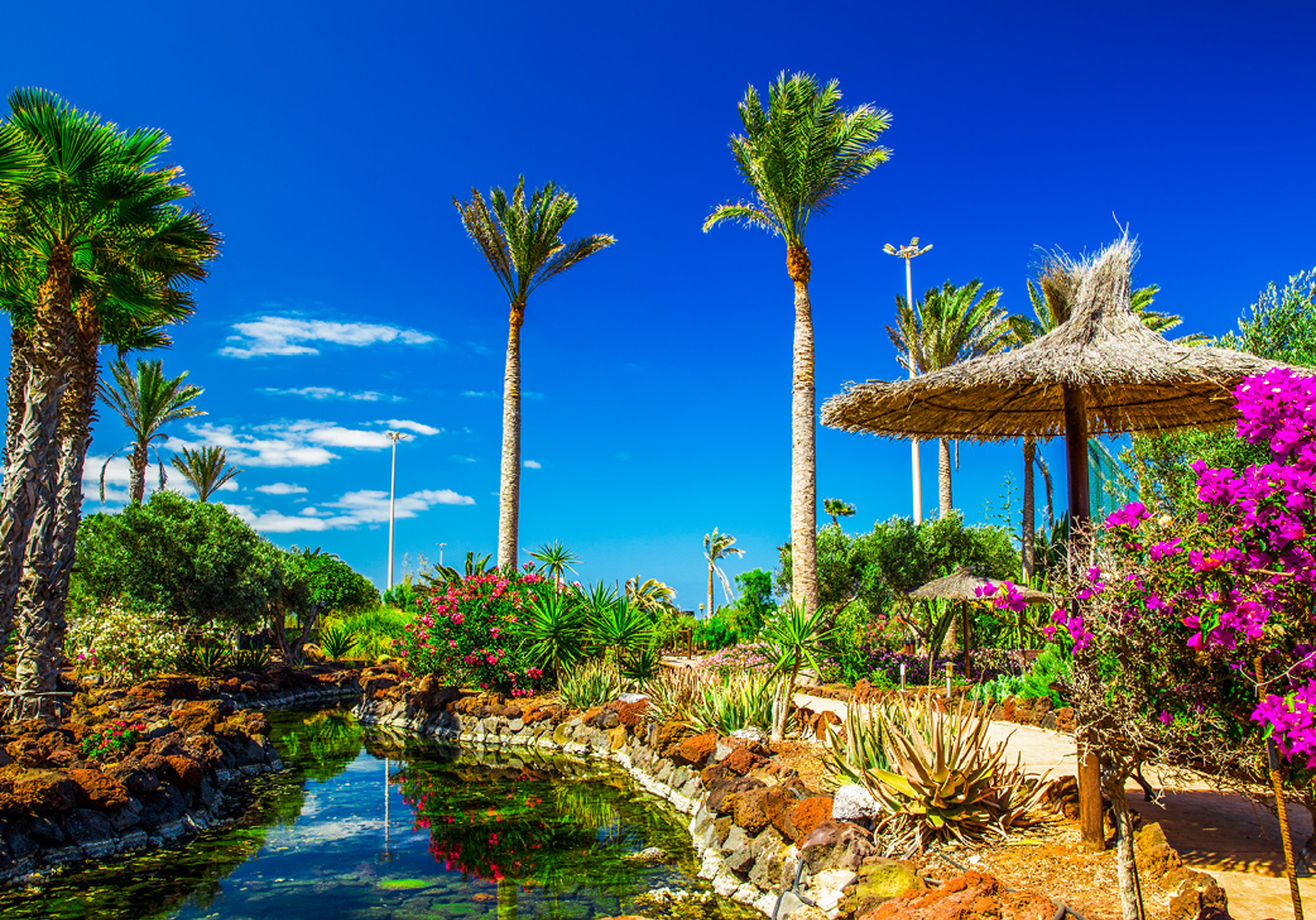 <p data-pm-slice="1 1 []">Fuerteventura Sightseeing</p>