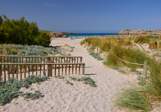Son Parc