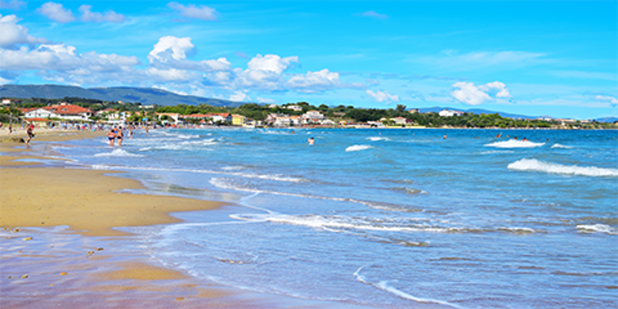 Holiday Hints &amp; Tips