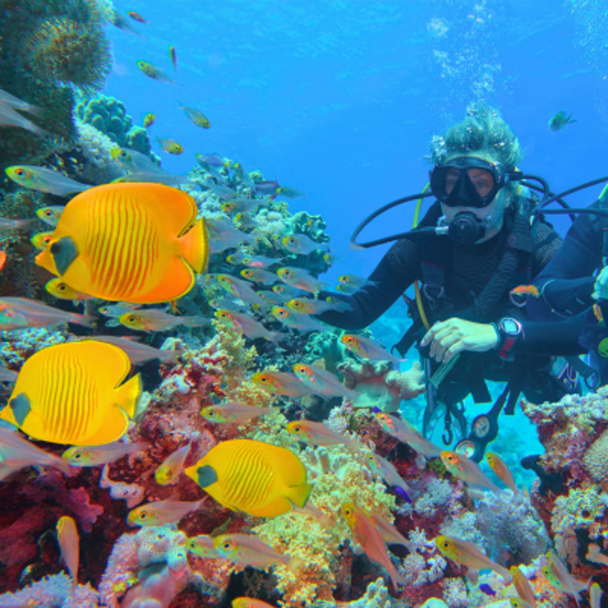 Sharm El-Sheikh Excursions