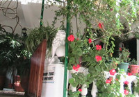 Gregory Apartments (1)