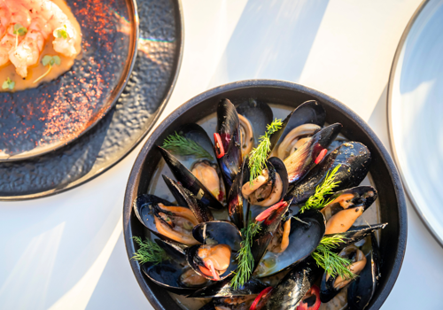 Ouzerie Restaurant Seafood at Sani Club