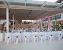 CTG (2)