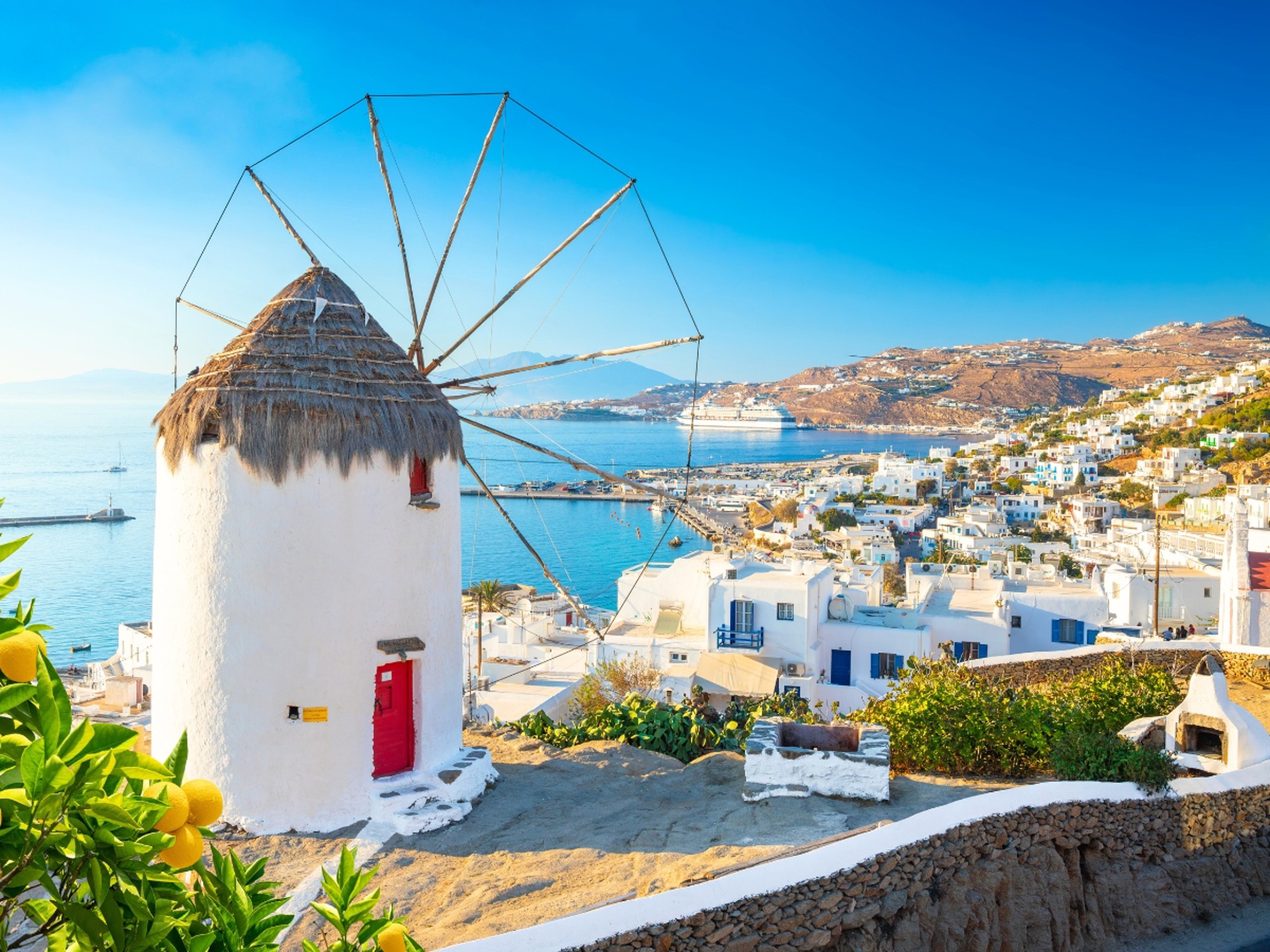 Holiday Hints &amp; Tips
